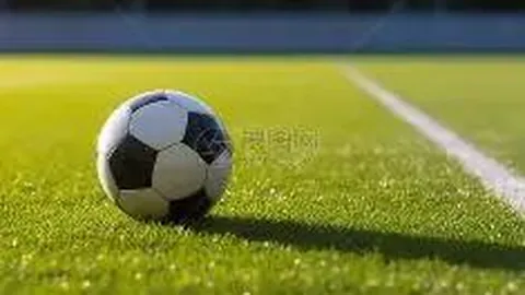 “2025年世界杯：沙特视角解读”