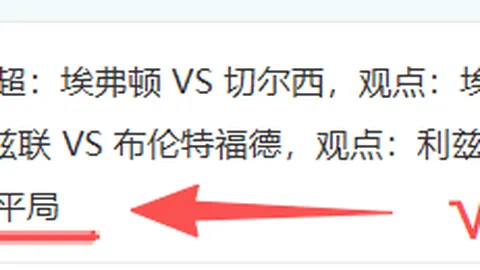 阿瑙托維奇歐洲杯征戰，中超停賽三場